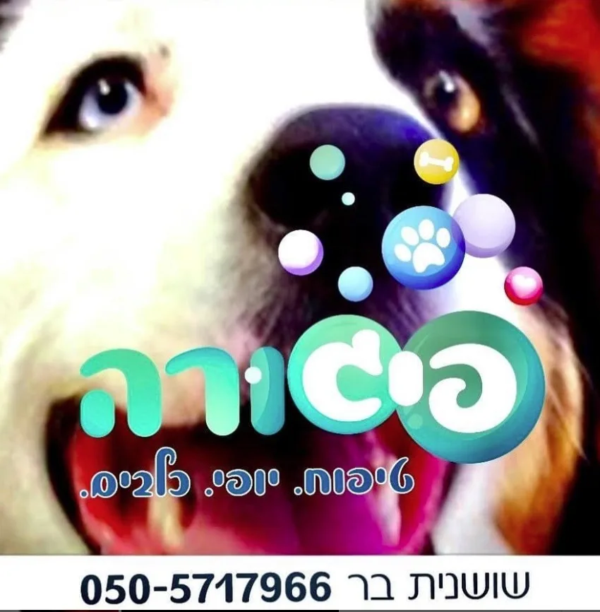 כלב לאחר טיפול במספרת פיגורה
